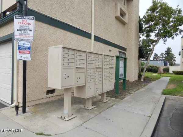 a house with palm tree next to a yard