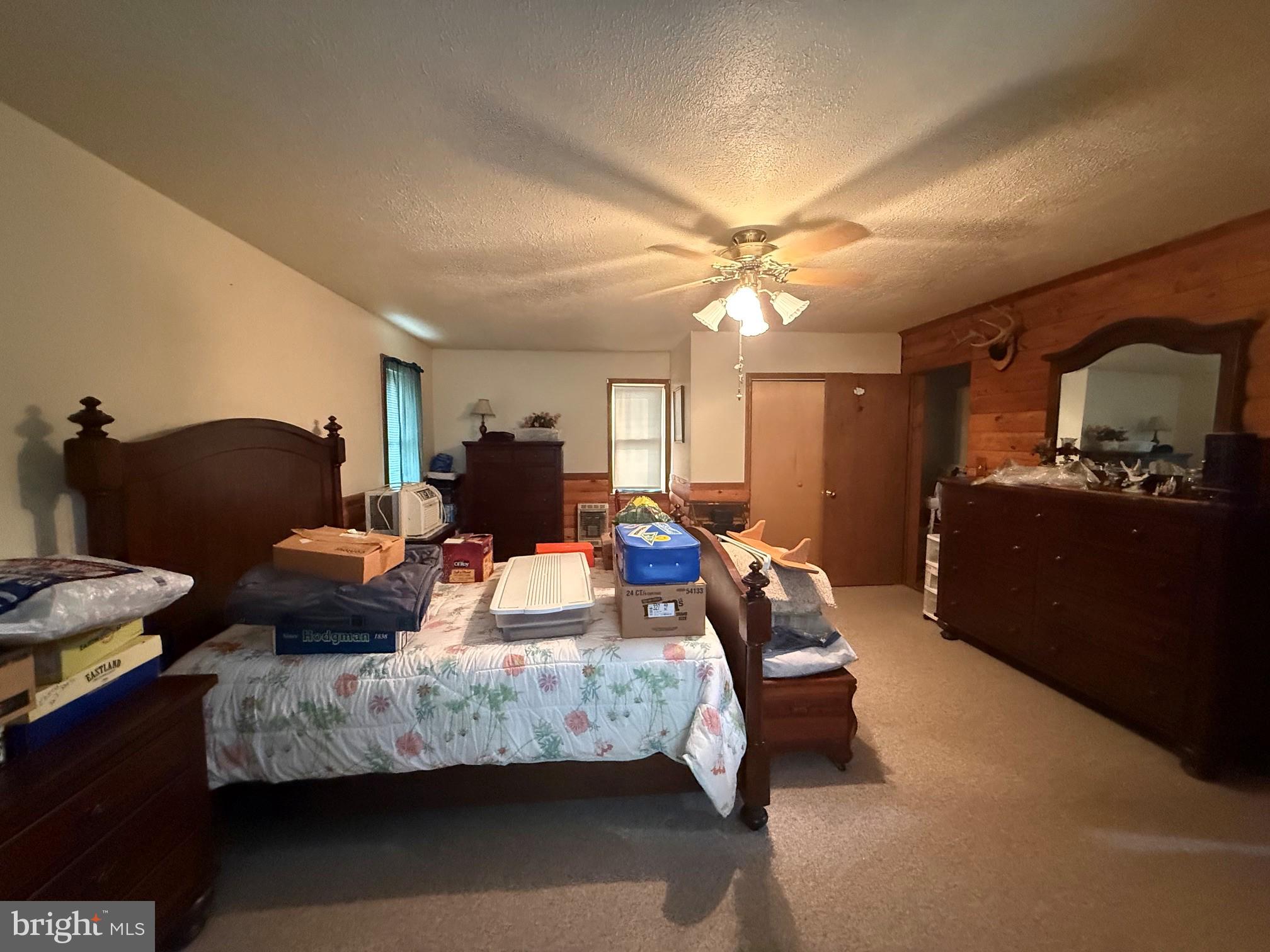 1492 Dice Warner Road Circleville, WV 26804 - Photo 18 of 36 Spacious bedroom with rustic charm.