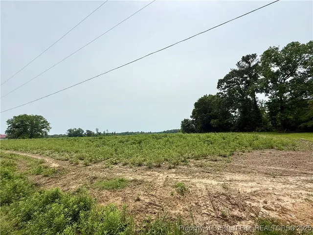 a view of a field of grass and trees