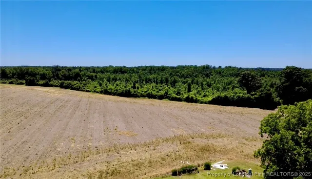 a view of a dry yard with wooden fence