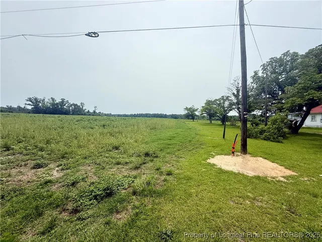 a view of a garden with a tree in the background