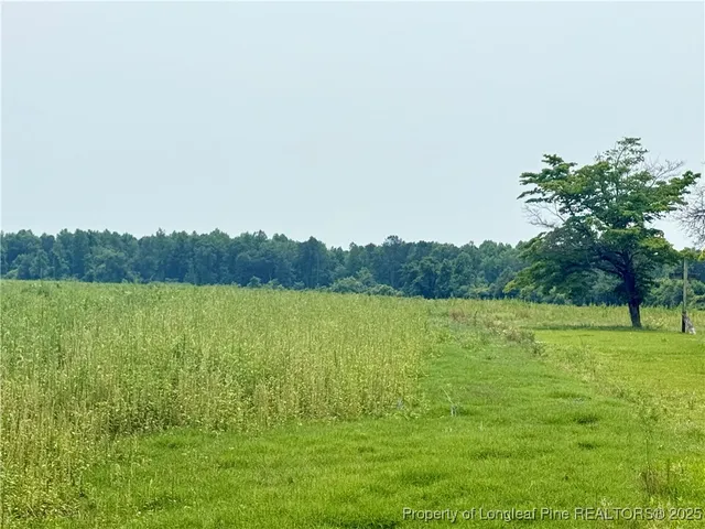 a view of an outdoor space and a yard