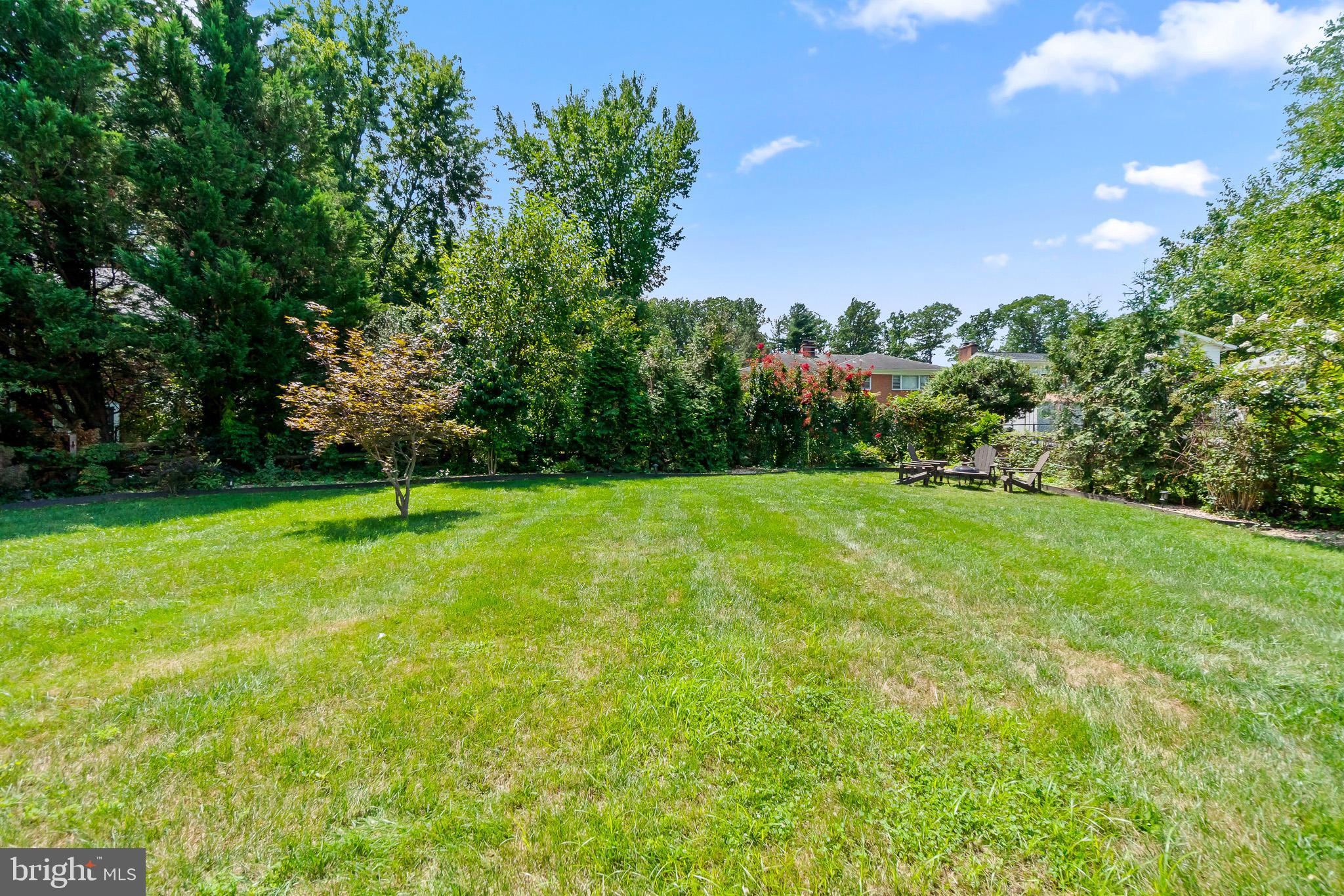 2003 Forest Dale Drive Silver Spring, MD 20903 - Photo 44 of 44 a view of a field with a tree