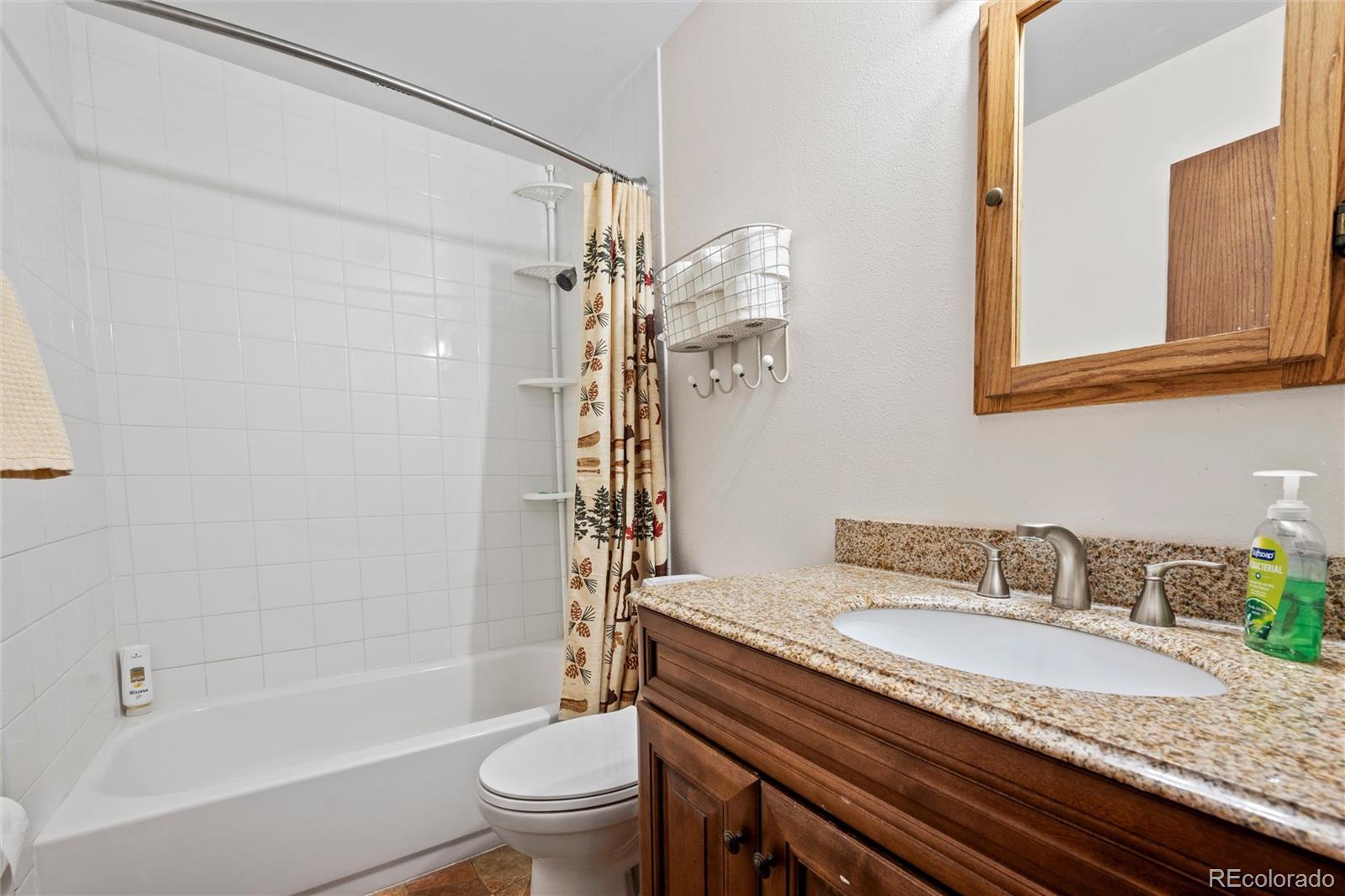10000 Ryan Gulch Road, Unit 101 Silverthorne, CO 80498 - Photo 5 of 19