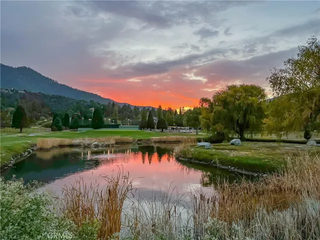 a view of a lake with a yard and large trees