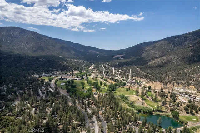a view of a lot of trees in the background