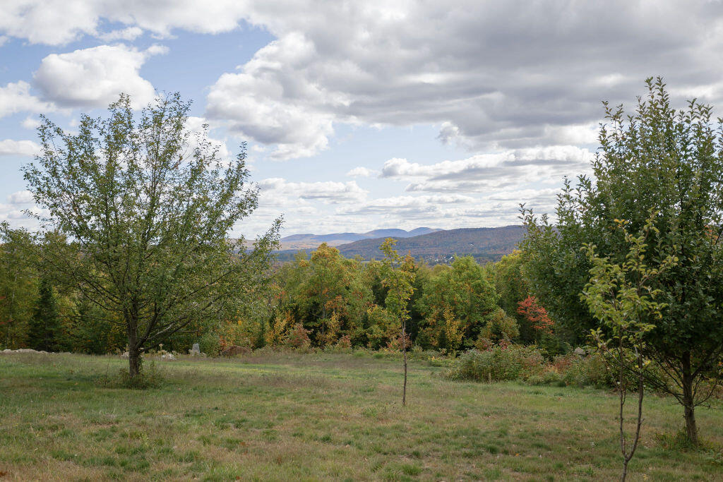 54 Wahl Road Kingfield, ME 04947 - Photo 78 of 91 taylor-kaminsky-photo-20