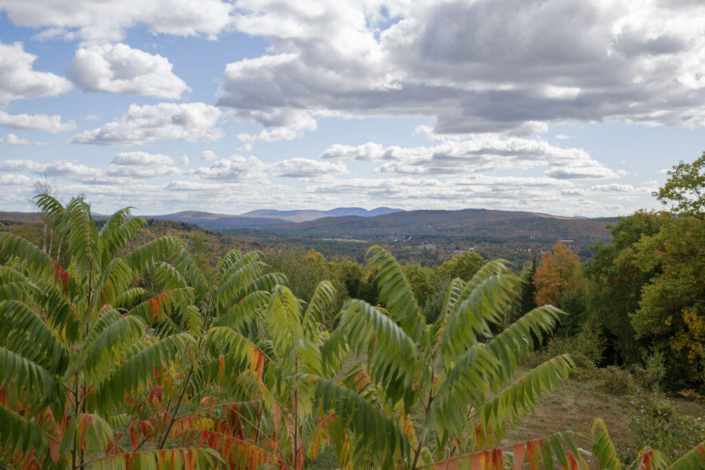 54 Wahl Road Kingfield, ME 04947 - Photo 90 of 91 taylor-kaminsky-photo-28
