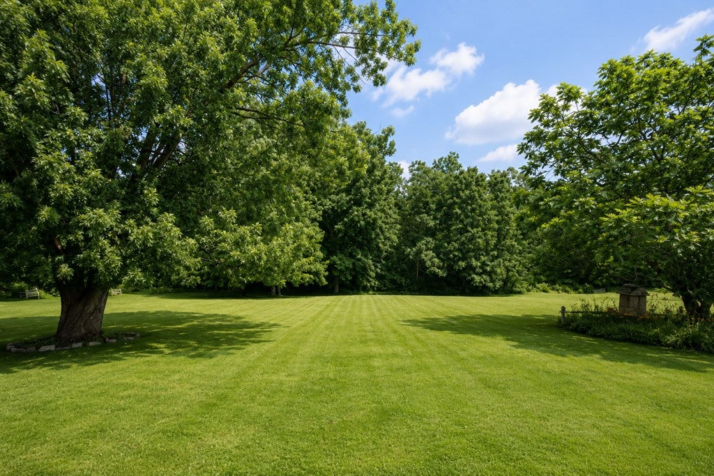2493 Kerr Road Lucas, OH 44843 - Photo 12 of 46 Gallery Image 12