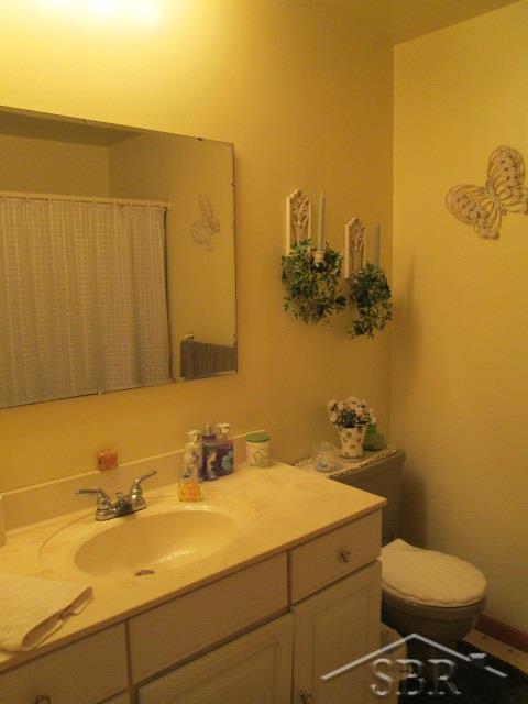 5645 South Raucholz Road Hemlock, MI 48626 - Photo 12 of 21 Full Bath