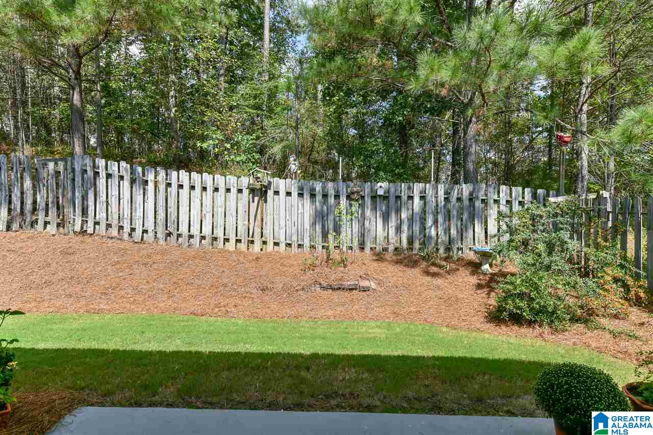 637 Narrows Point Way Birmingham, AL 35242 - Photo 4 of 50
