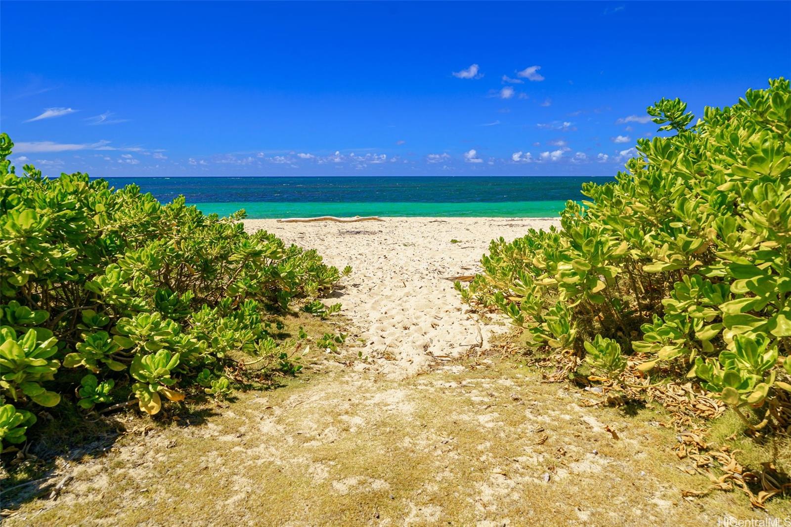 67-267 Kahaone Loop, Unit 2 Waialua, HI 96791 - Photo 11 of 20 a view of a yard with plants and a trees