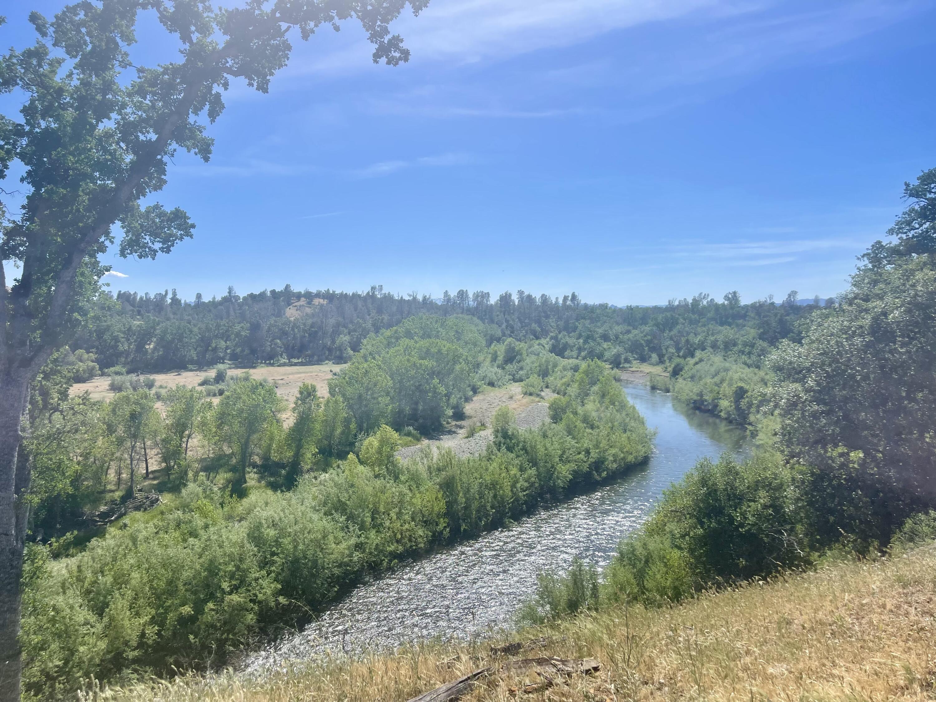 a view of a city with lush green forest