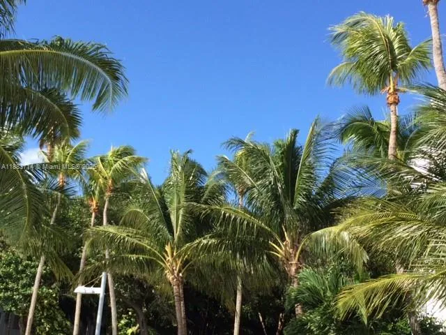 a kitchen with a refrigerator and a sink
