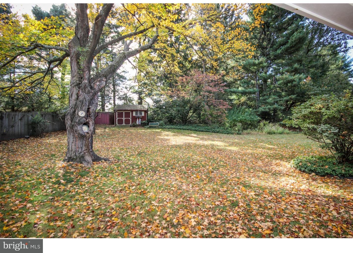 447 Collins Drive Springfield, PA 19064 - Photo 24 of 25