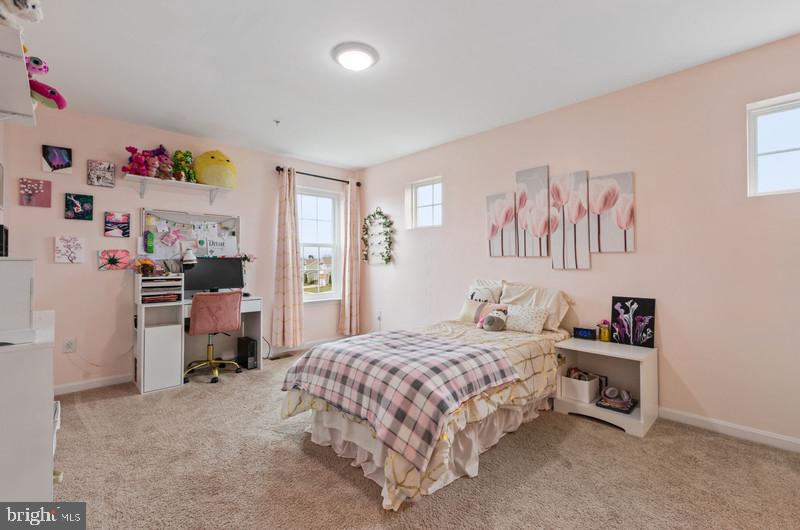 699 Stonegate Road Westminster, MD 21157 - Photo 26 of 38 Princess suite