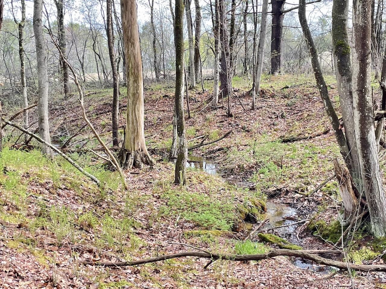 90 Harris Road Cumberland, ME 04021 - Photo 7 of 9 14 acres of open space