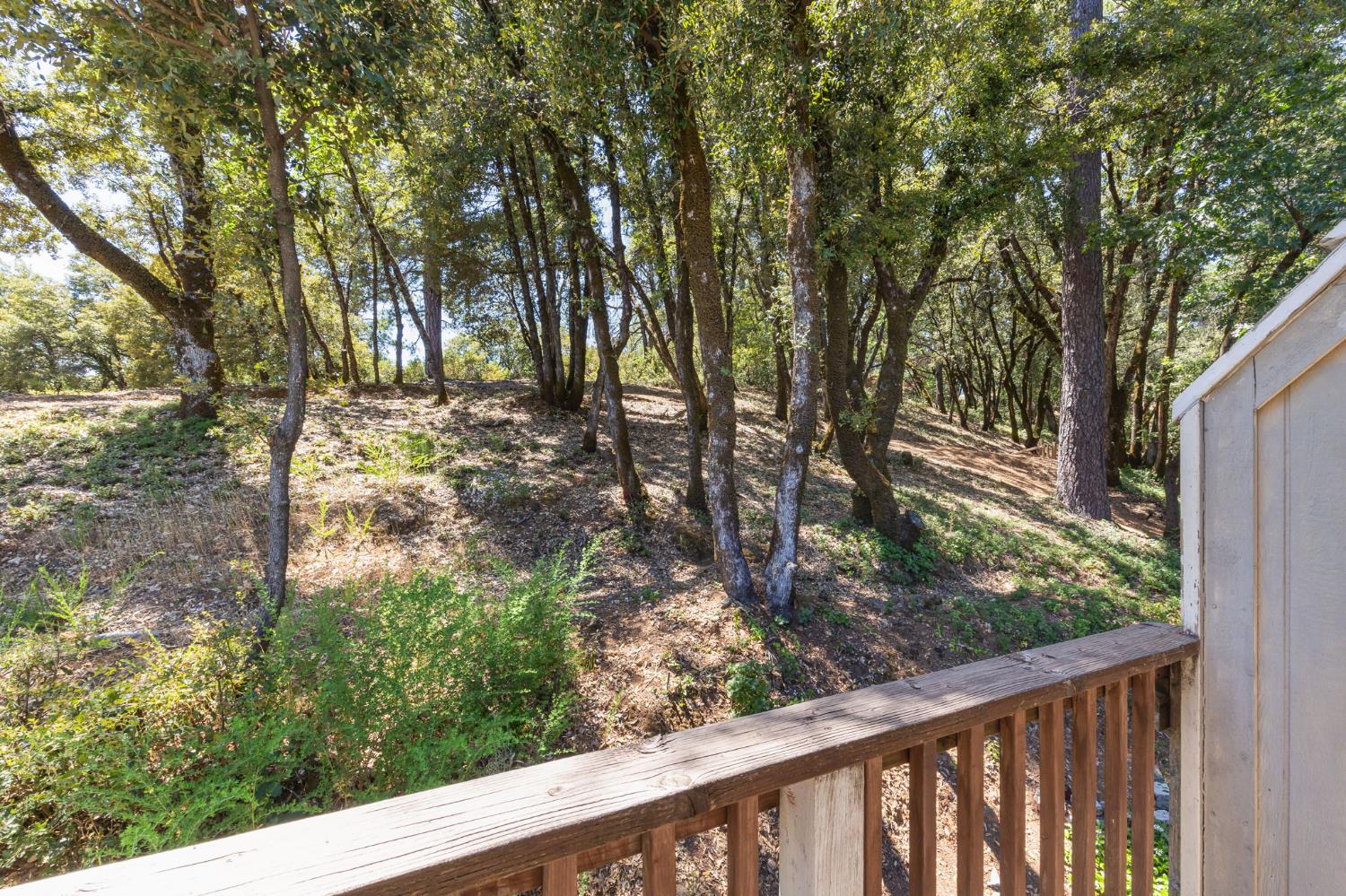 1392 Oak Ridge Drive Colfax, CA 95713 - Photo 35 of 44