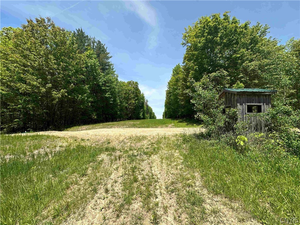 River Road Belmont, NY 14813 - Photo 20 of 23