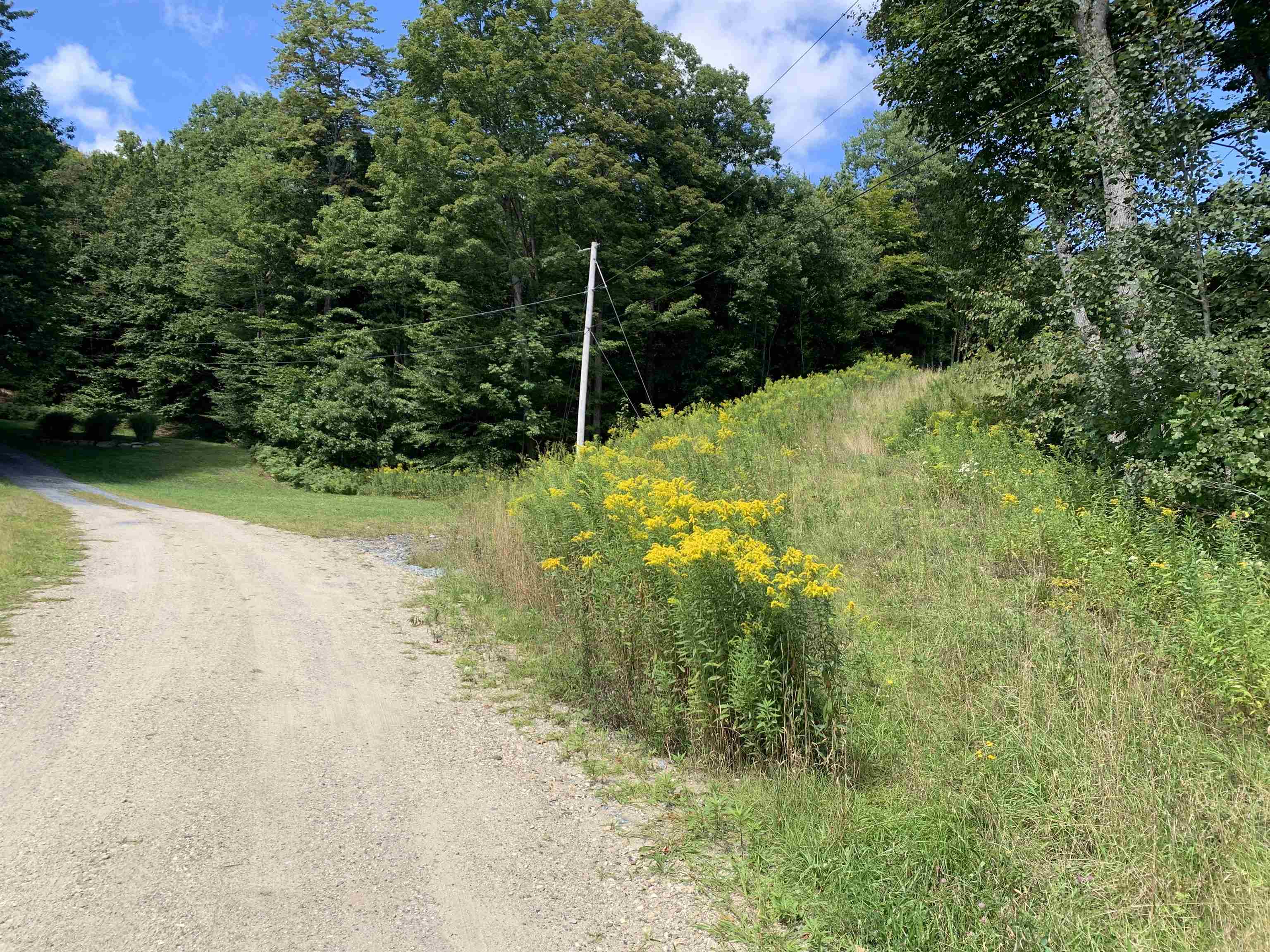 0 Raymond Road, Unit 9 Ludlow, VT 05149 - Photo 6 of 17