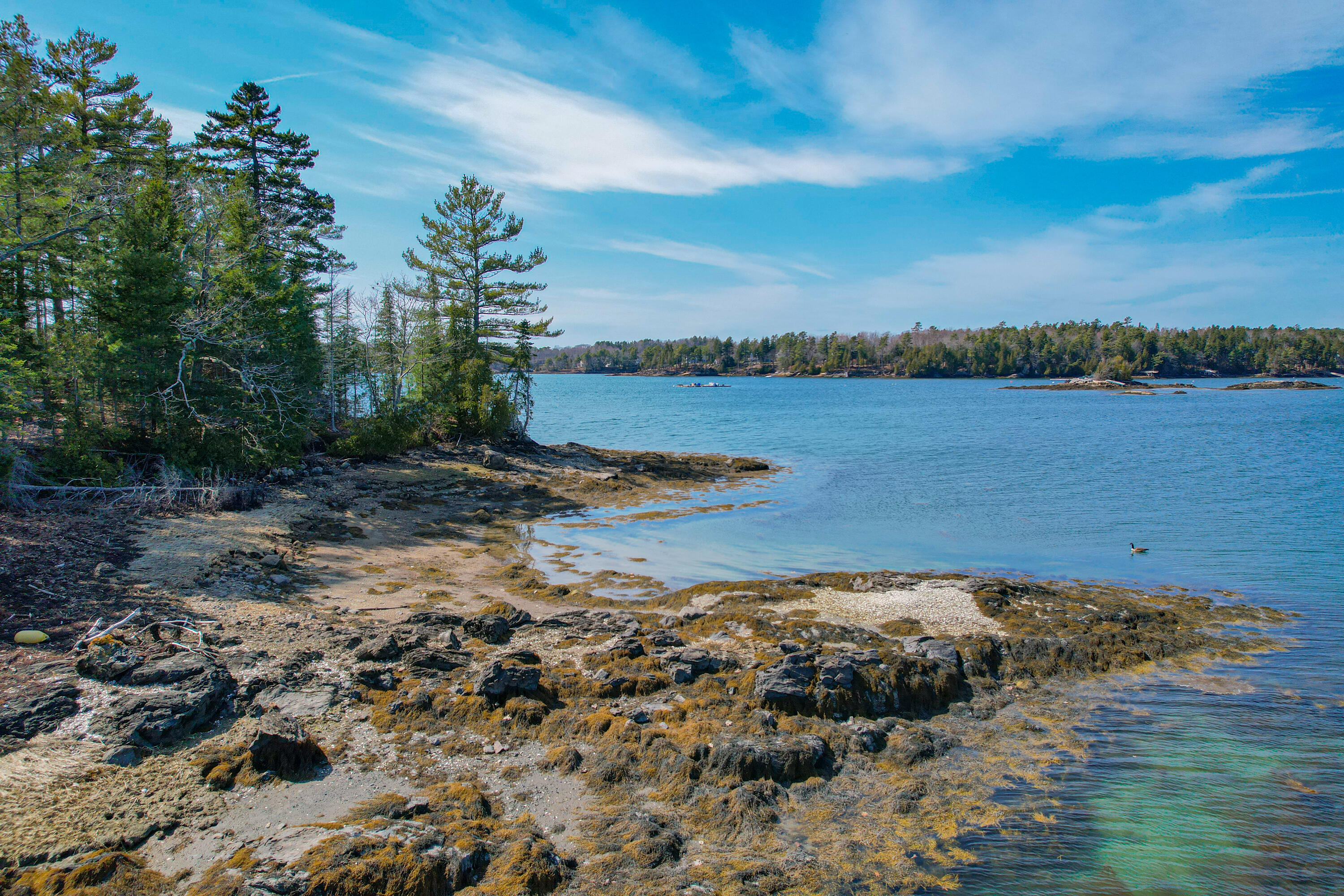 3 Ben Island Harpswell, ME 04079 - Photo 106 of 122 0BenIslandHarpswell-122