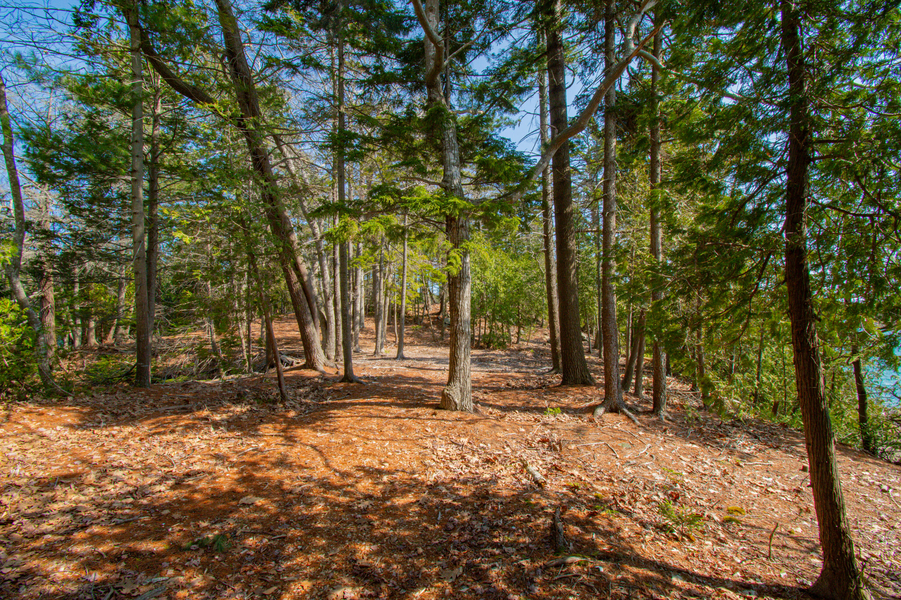 3 Ben Island Harpswell, ME 04079 - Photo 96 of 122 0BenIslandHarpswell-093