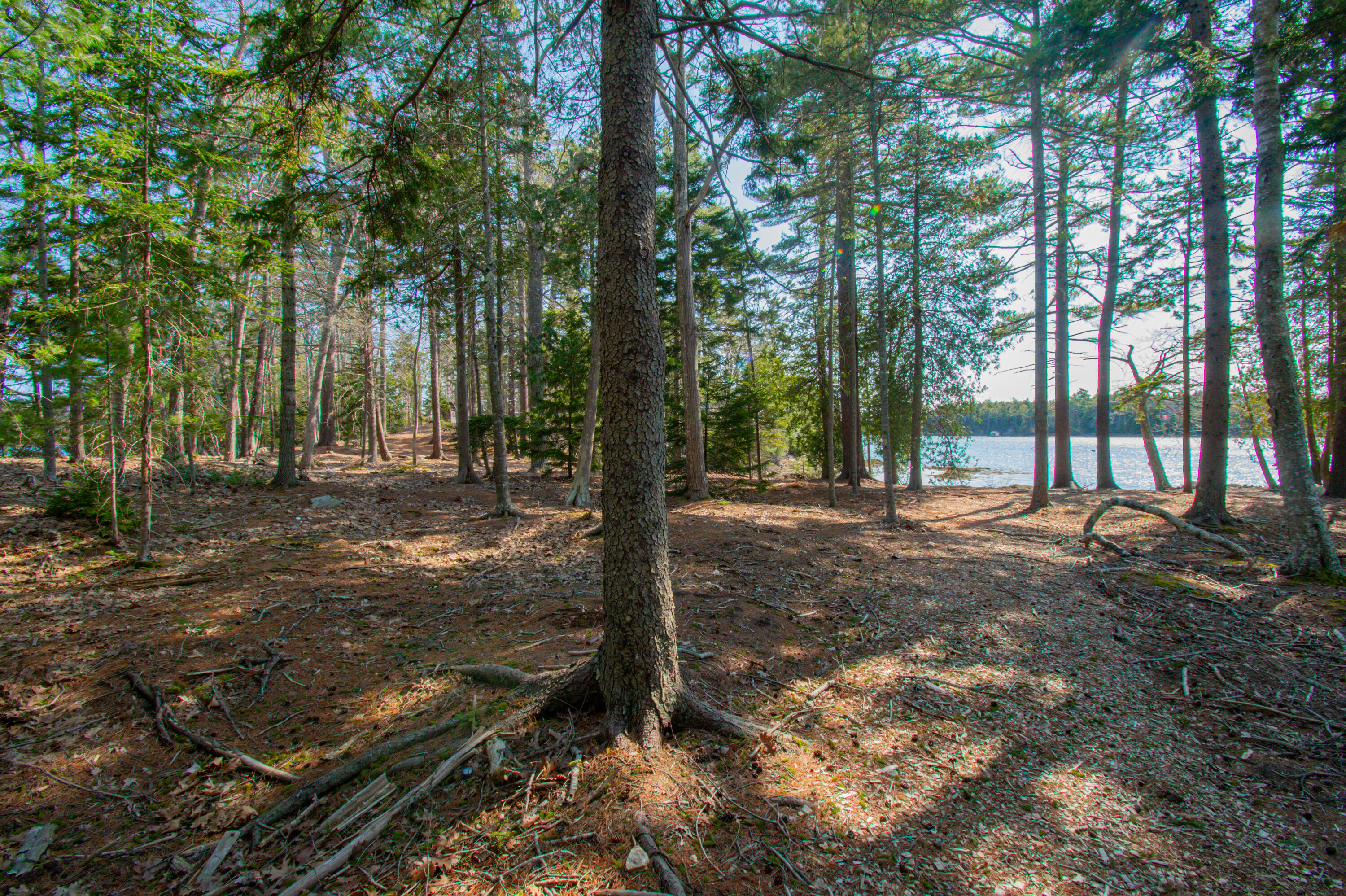 3 Ben Island Harpswell, ME 04079 - Photo 98 of 122 0BenIslandHarpswell-177