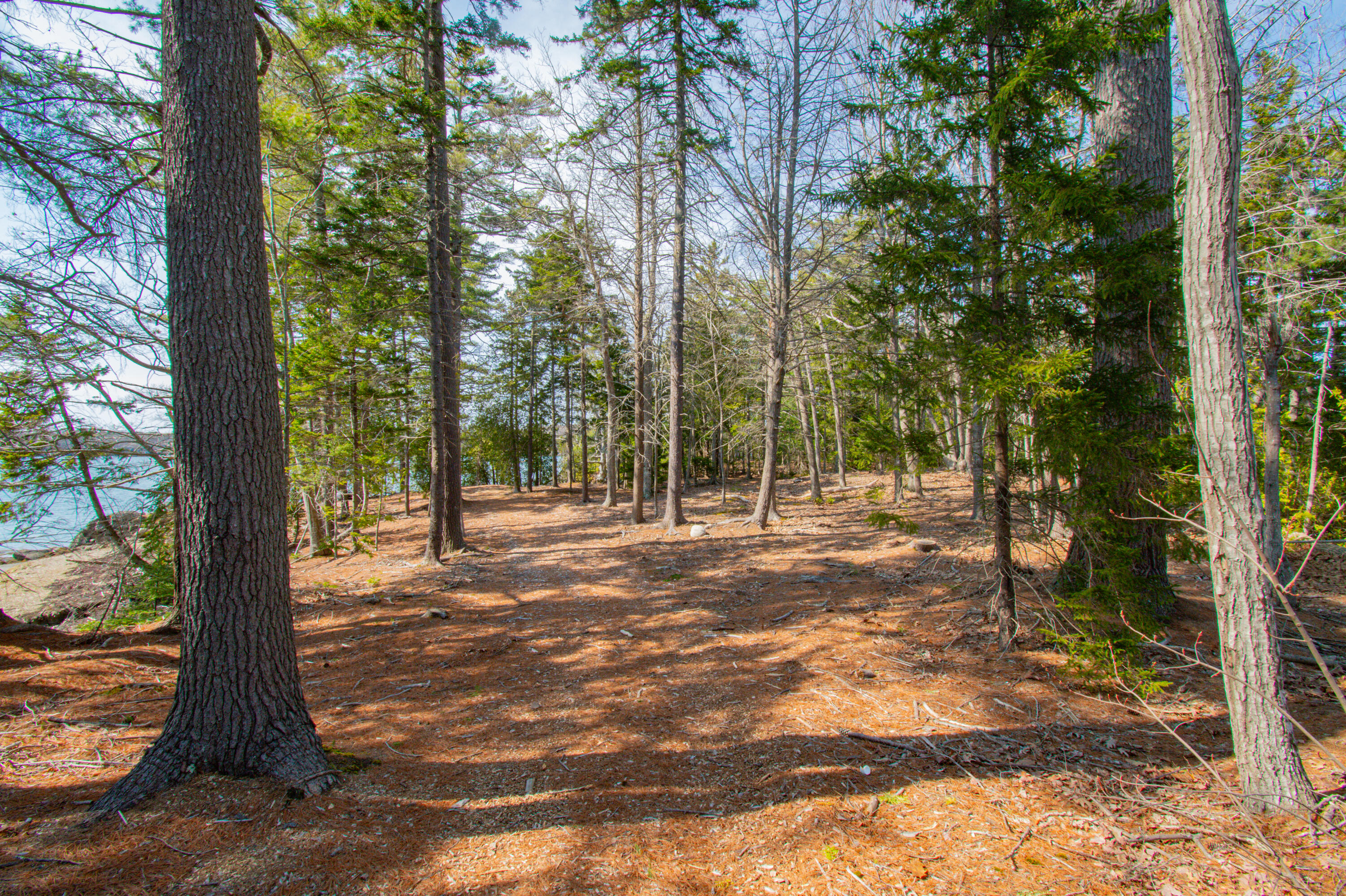 3 Ben Island Harpswell, ME 04079 - Photo 99 of 122 0BenIslandHarpswell-159