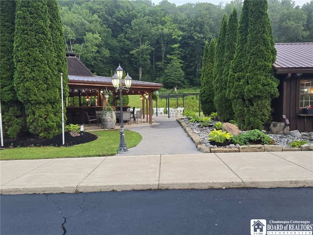 12045 Bone Run Road South Valley, NY 14738 - Photo 10 of 43