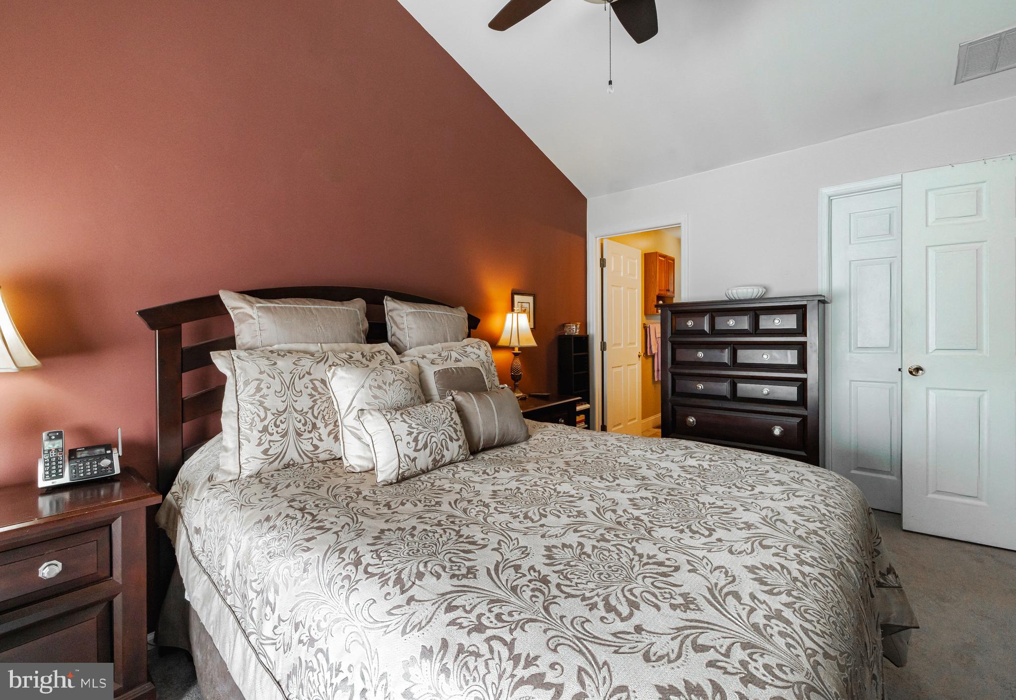 256 Sussex Road Swedesboro, NJ 08085 - Photo 16 of 29 Primary w/ OnSuite & Walk-in Closet