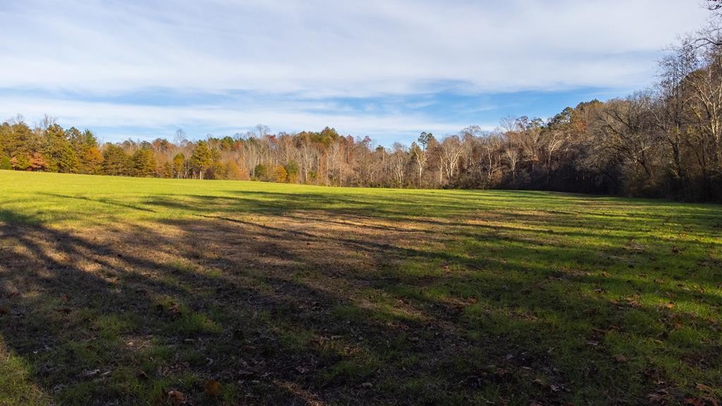 0 Athens Road Calhoun, TN 37309 - Photo 19 of 25