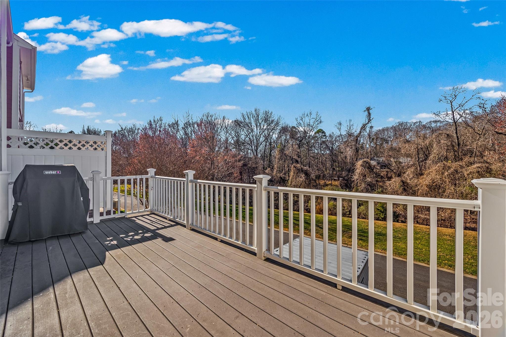 1114 Drayton Court Fort Mill, SC 29708 - Photo 29 of 46