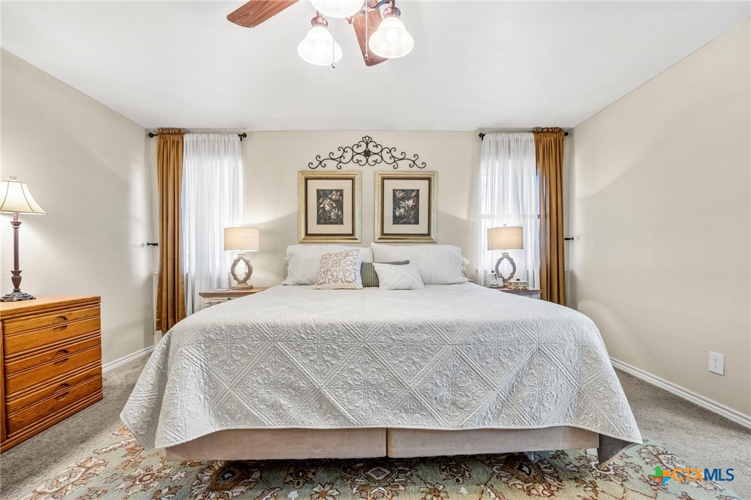 11207 Oak Tree Drive Salado, TX 76571 - Photo 15 of 34 MAster bedroom