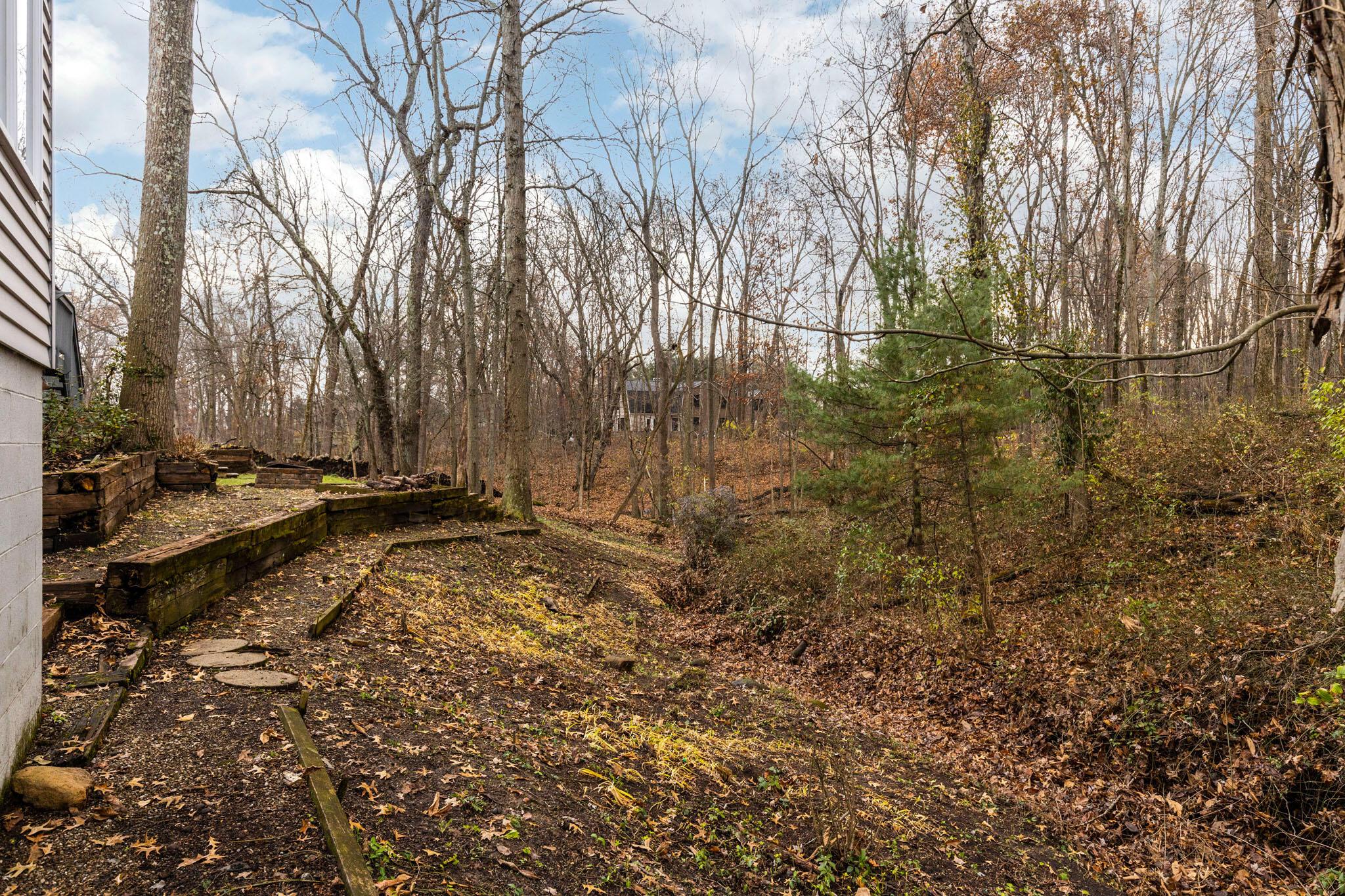 8116 Lewis Center Road Galena, OH 43021 - Photo 11 of 46 Land