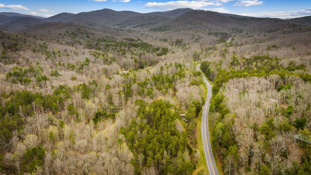 10042 Doublehead Gap Road Ellijay, GA 30536 - Photo 14 of 49 Gallery Image 14