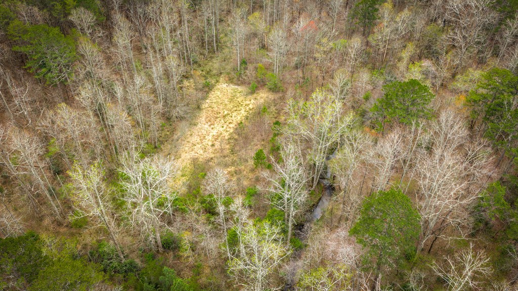 10042 Doublehead Gap Road Ellijay, GA 30536 - Photo 17 of 49 Gallery Image 17
