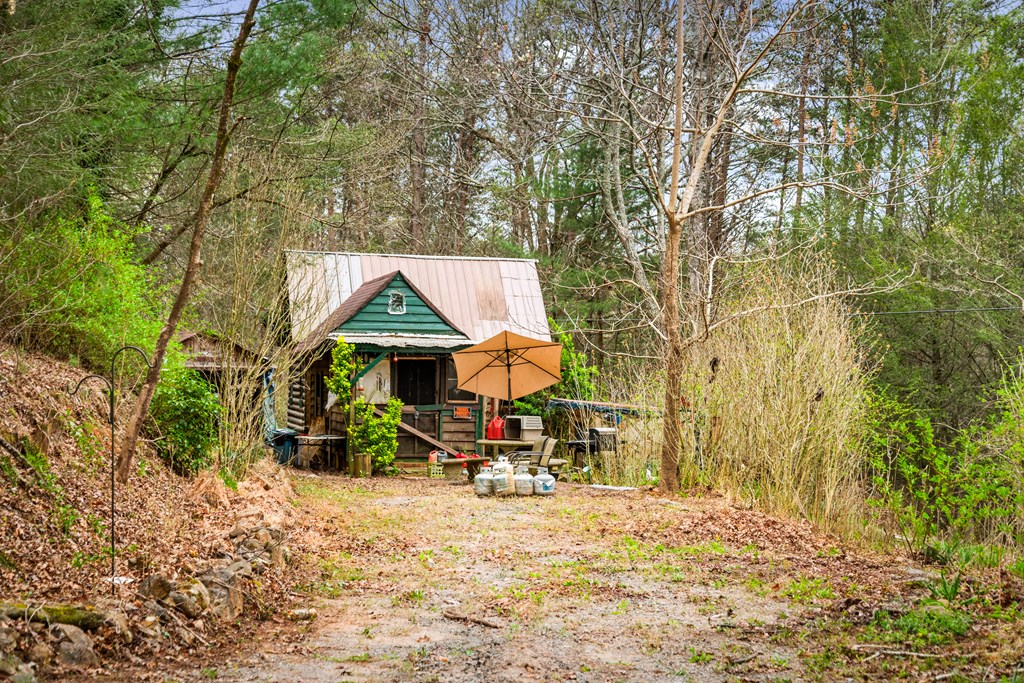 10042 Doublehead Gap Road Ellijay, GA 30536 - Photo 18 of 49 Gallery Image 18