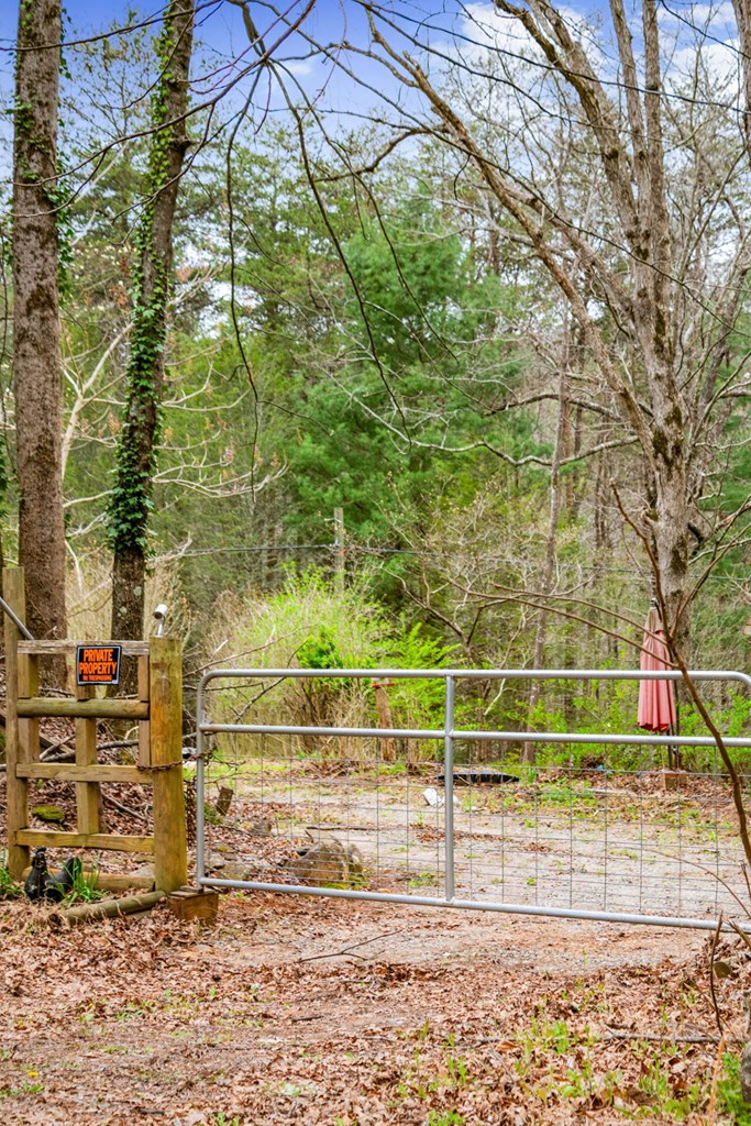 10042 Doublehead Gap Road Ellijay, GA 30536 - Photo 28 of 49 Gallery Image 28
