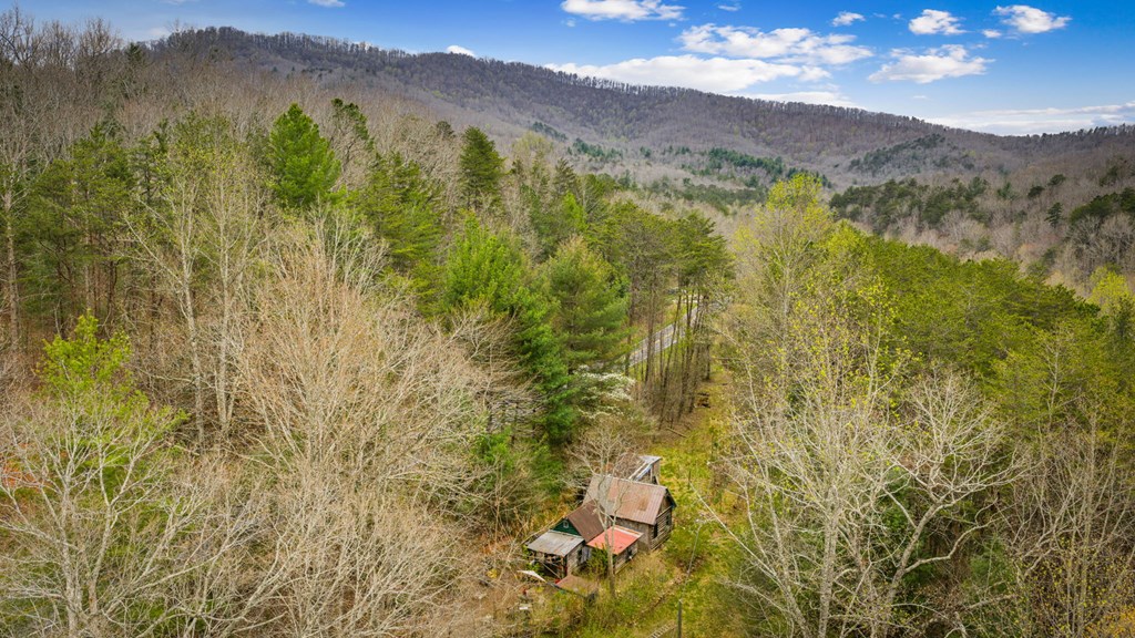 10042 Doublehead Gap Road Ellijay, GA 30536 - Photo 36 of 49 Gallery Image 36