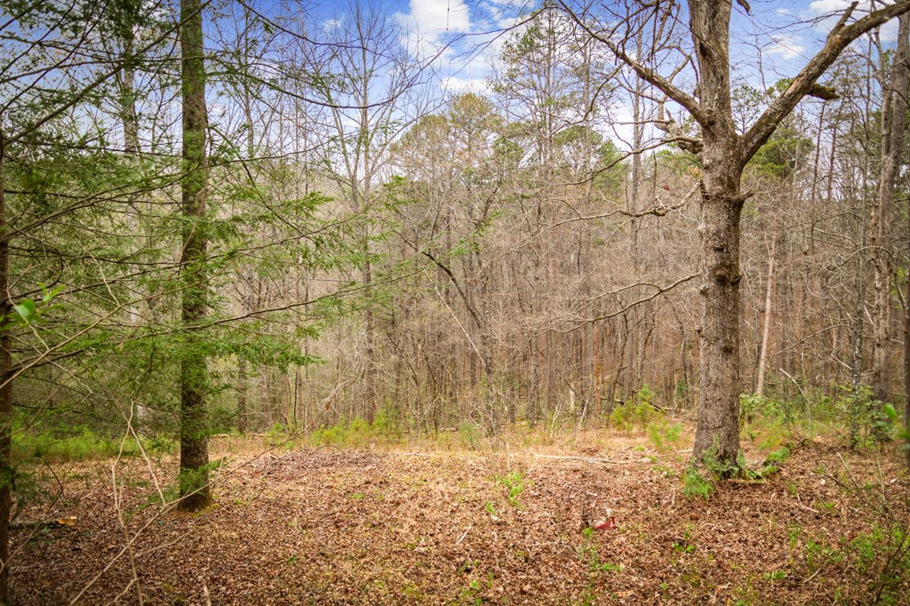 10042 Doublehead Gap Road Ellijay, GA 30536 - Photo 43 of 49 Gallery Image 43