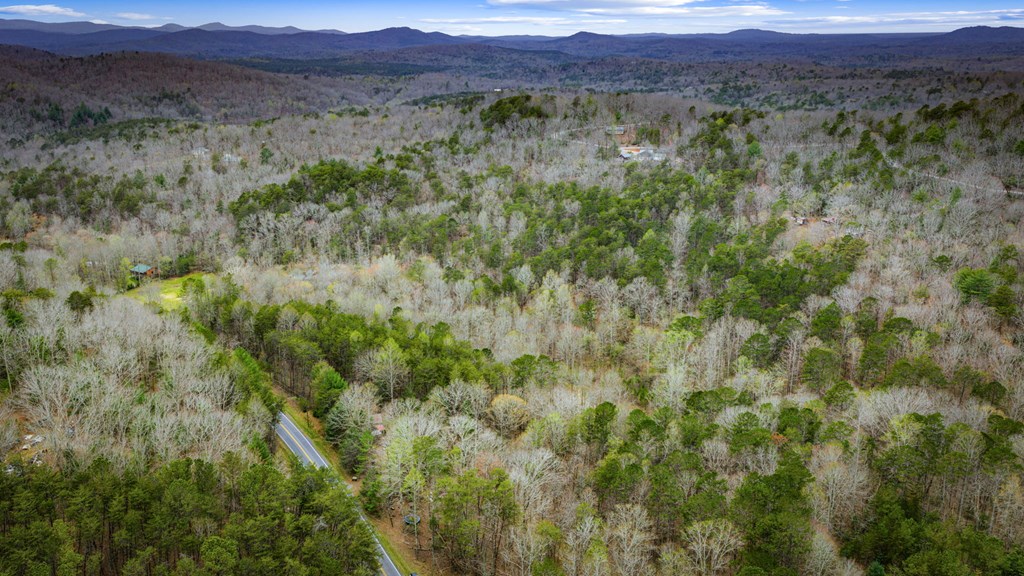 10042 Doublehead Gap Road Ellijay, GA 30536 - Photo 48 of 49 Gallery Image 48