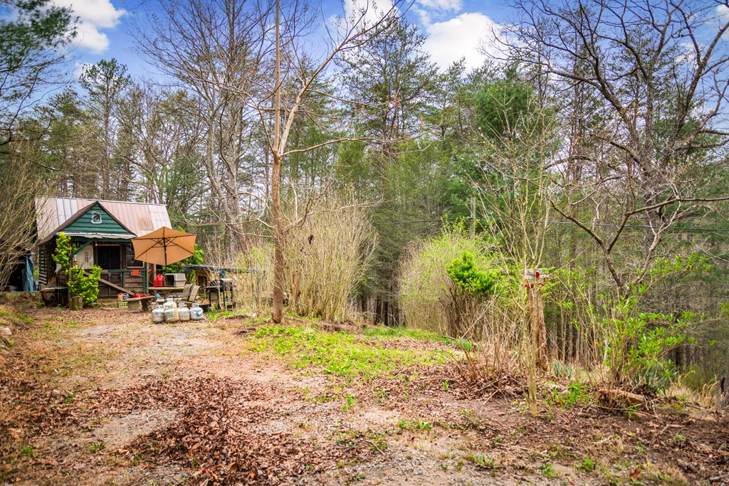 10042 Doublehead Gap Road Ellijay, GA 30536 - Photo 8 of 49 Gallery Image 8