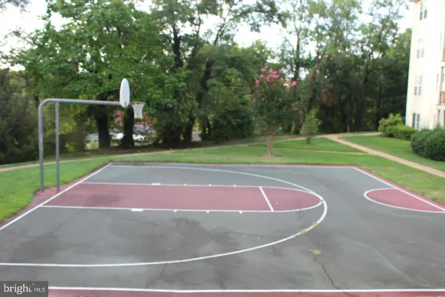 a view of a tennis ground with large trees