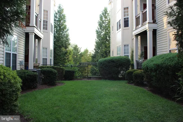 a view of a back yard
