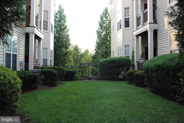 a view of a back yard