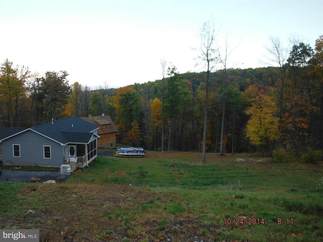 52 Heim-Jones Road Linden, VA 22642 - Photo 15 of 17 From Back Yard