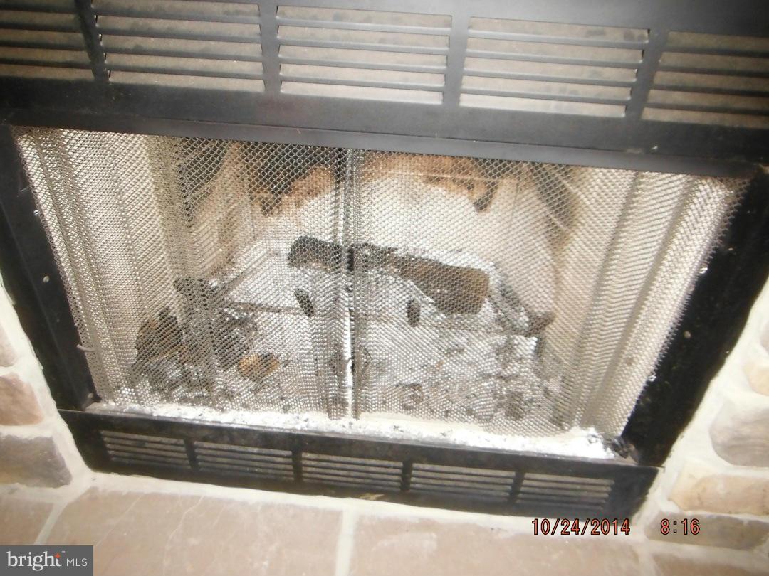 52 Heim-Jones Road Linden, VA 22642 - Photo 7 of 17 Wood Burning Fireplace