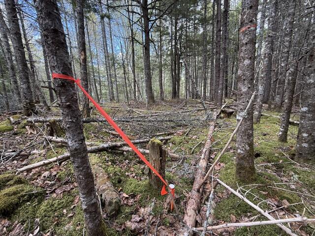 Lot12-part Indian Trail Road East Machias, ME 04630 - Photo 29 of 34 IMG_9902