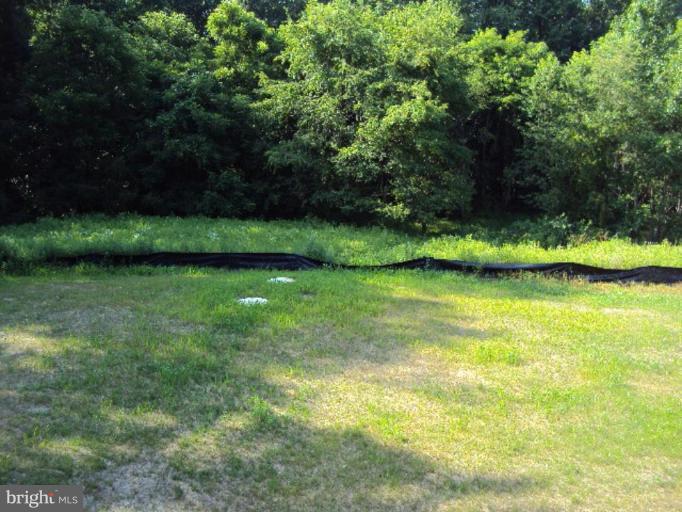 3119 Whiteford Road Pylesville, MD 21132 - Photo 3 of 17 Back yard