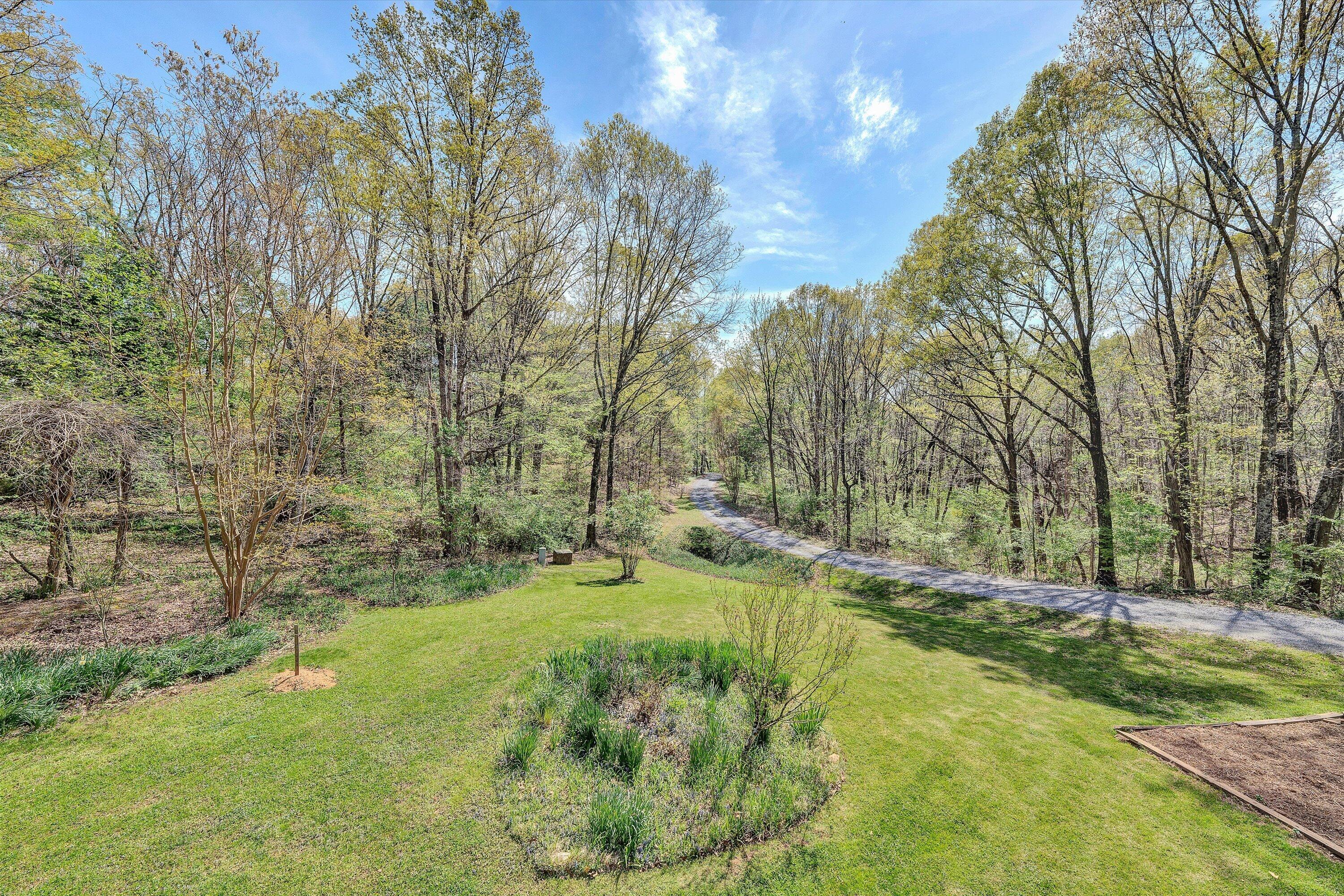 1124 Old Hollow Road Buchanan, VA 24066 - Photo 9 of 73 a view of a yard with large trees